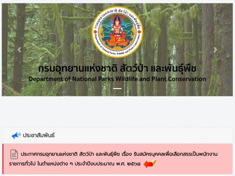 กรมอุทยานแห่งชาติ สัตว์ป่า และพันธุ์พืช รับสมัครบุคคลเพื่อเลือกสรรเป็นพนักงานราชการ 27 ตำแหน่ง 238 อัตรา (วุฒิ ปวช. ปวส.หรือเทียบเท่า ป.ตรี) รับสมัครสอบทางอินเทอร์เน็ต ตั้งแต่วันที่ 24 ก.พ. - 6 มี.ค. 2568 หน้าที่ 1